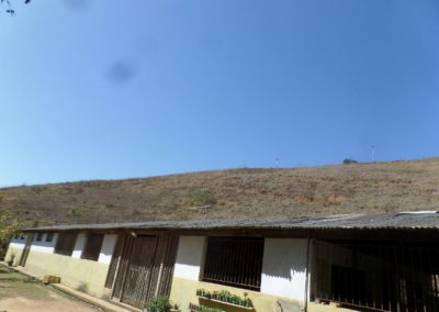 339  –  Sitio em Aparecidinha  –  Sapucaia  –  R.J:.